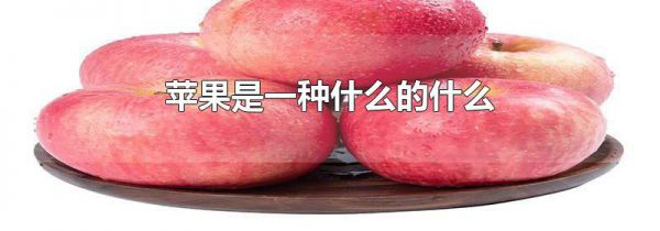 苹果是一种什么的什么