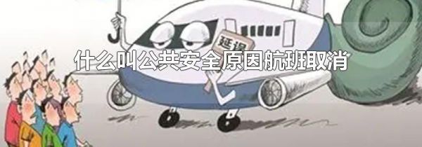 什么叫公共安全原因航班取消