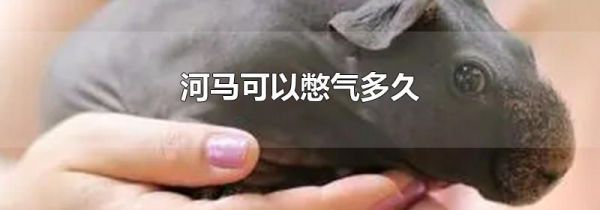 河马可以憋气多久