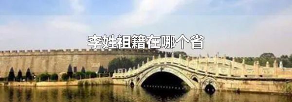 李姓祖籍在哪个省