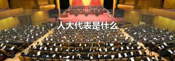人大代表是什么