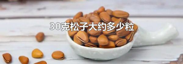 30克松子大约多少粒