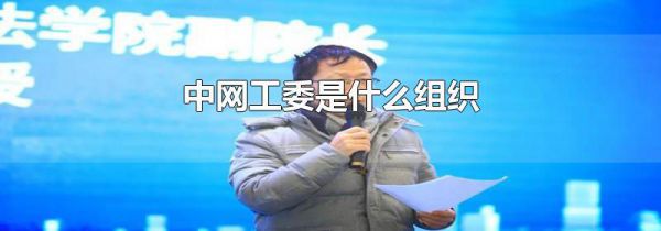 中网工委是什么组织