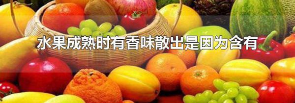 水果成熟时有香味散出是因为含有