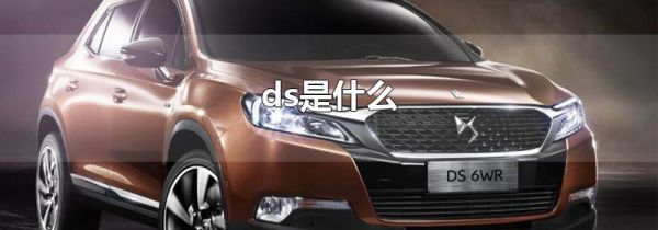 ds是什么