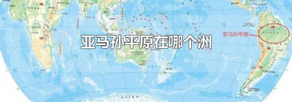亚马孙平原在哪个洲