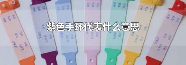 紫色手环代表什么意思