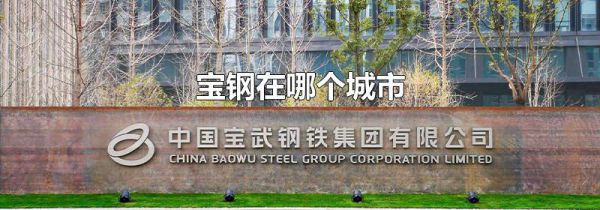 宝钢在哪个城市