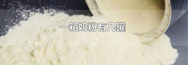 一箱奶粉有几罐