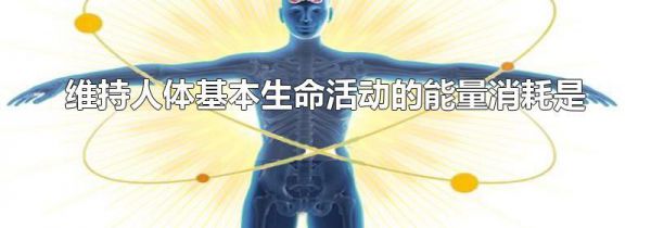 维持人体基本生命活动的能量消耗是