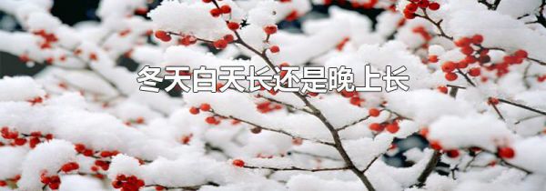 冬天白天长还是晚上长