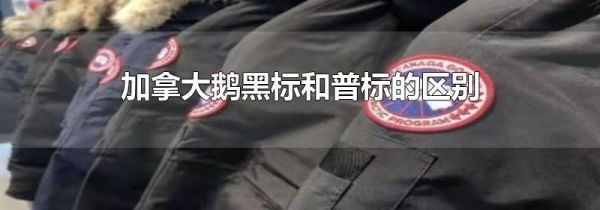 加拿大鹅黑标和普标的区别
