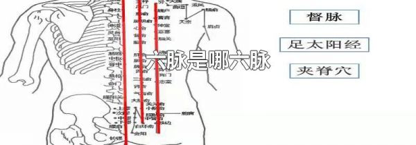 六脉是哪六脉
