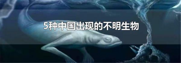5种中国出现的不明生物