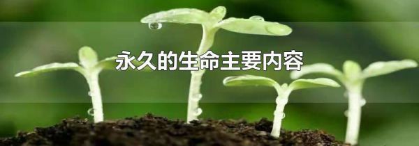永久的生命主要内容