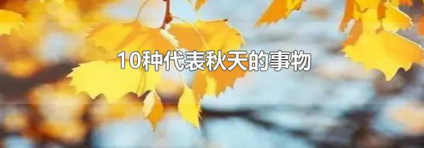 10种代表秋天的事物