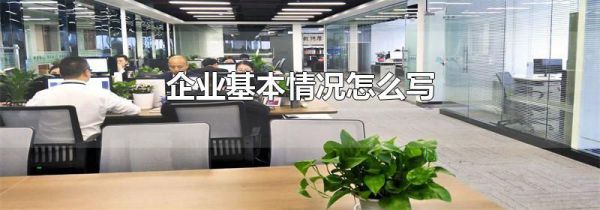 企业基本情况怎么写