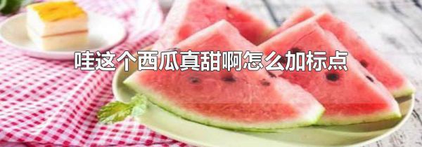 哇这个西瓜真甜啊怎么加标点