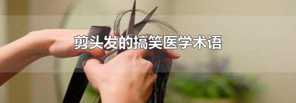 剪头发的搞笑医学术语