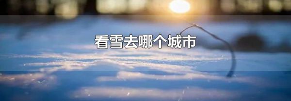 看雪去哪个城市