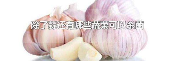 除了蒜还有哪些蔬菜可以杀菌
