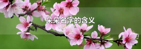 朵朵名字的含义