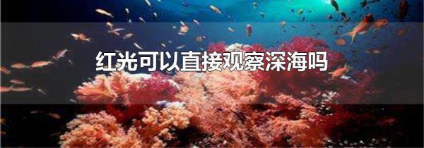 红光可以直接观察深海吗