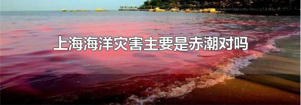 上海海洋灾害主要是赤潮对吗