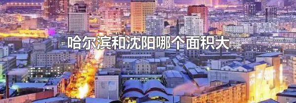 哈尔滨和沈阳哪个面积大