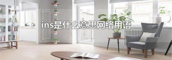 ins是什么意思网络用语