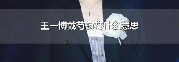 王一博戴芍药花什么意思