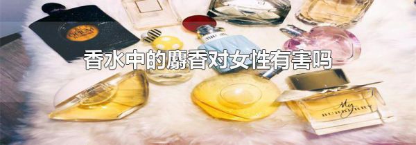 香水中的麝香对女性有害吗