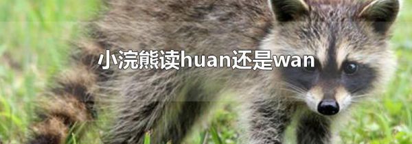 小浣熊读huan还是wan