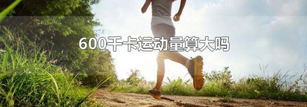 600千卡运动量算大吗