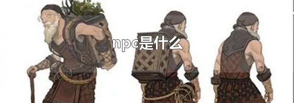 npc是什么