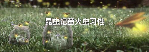 昆虫记萤火虫习性