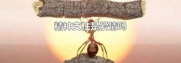 精神支柱是爱情吗