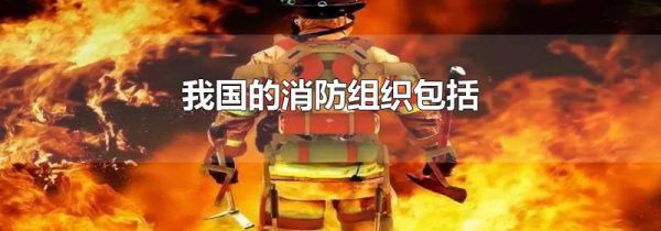我国的消防组织包括