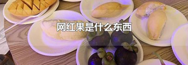网红果是什么东西