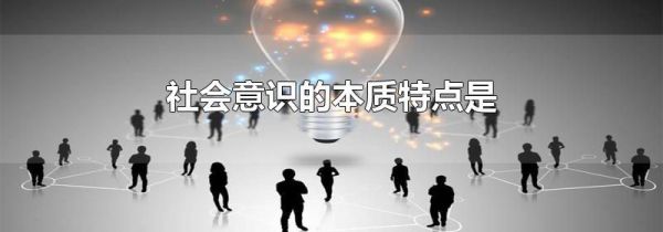 社会意识的本质特点是