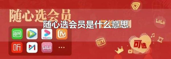 随心选会员是什么意思