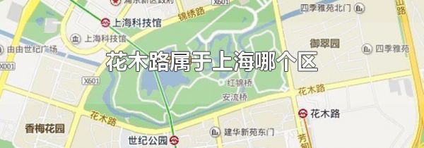 花木路属于上海哪个区