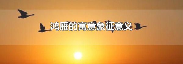 鸿雁的寓意象征意义