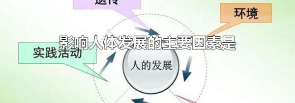 影响人体发展的主要因素是