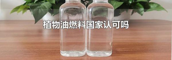 植物油燃料国家认可吗