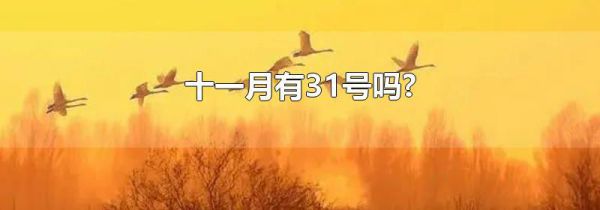 十一月有31号吗?