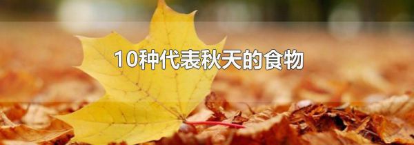 10种代表秋天的食物