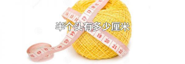 半个头有多少厘米