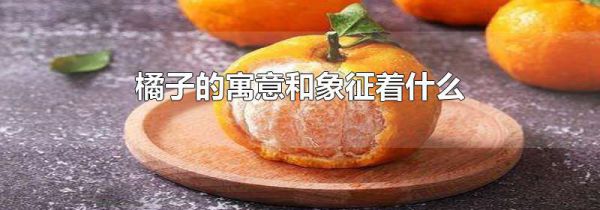 橘子的寓意和象征着什么