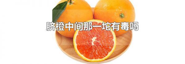 脐橙中间那一坨有毒吗